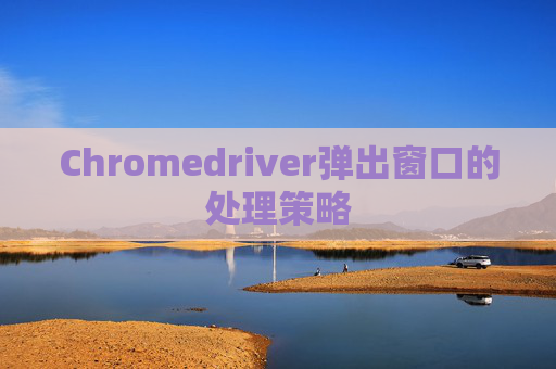 Chromedriver弹出窗口的处理策略